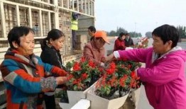 渭南市新闻爆料,聚焦民生热点，揭示社会现象